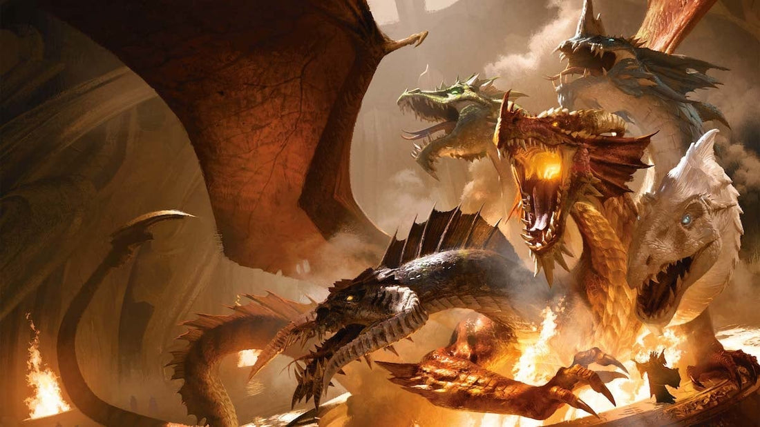 The Wizards go Beyond the Coast! - Fans Geek Store