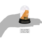 Crookshanks Curiosity Cloche - Fans Geek Store