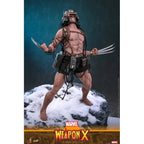 Hot Toys Marvel Comics Weapon X 1/6 Actiefiguur 31 cm