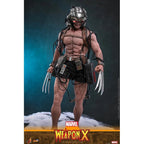 Hot Toys Marvel Comics Weapon X 1/6 Actiefiguur 31 cm
