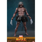 Hot Toys Marvel Comics Weapon X 1/6 Actiefiguur 31 cm