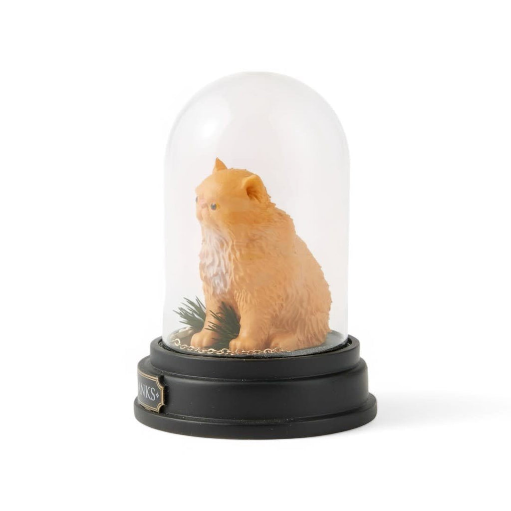 Crookshanks Curiosity Cloche - Fans Geek Store
