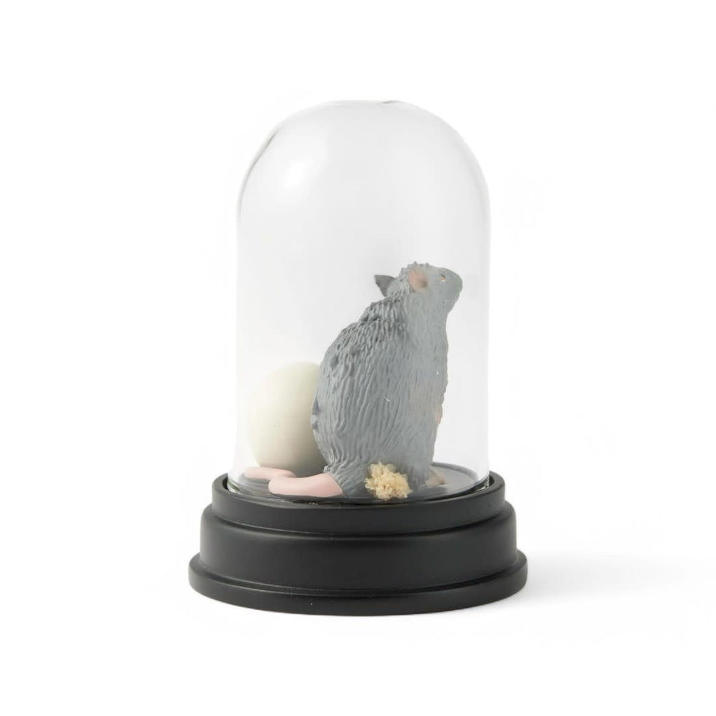 Scabbers Curiosity Cloche - Fans Geek Store