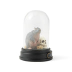 Scabbers Curiosity Cloche - Fans Geek Store