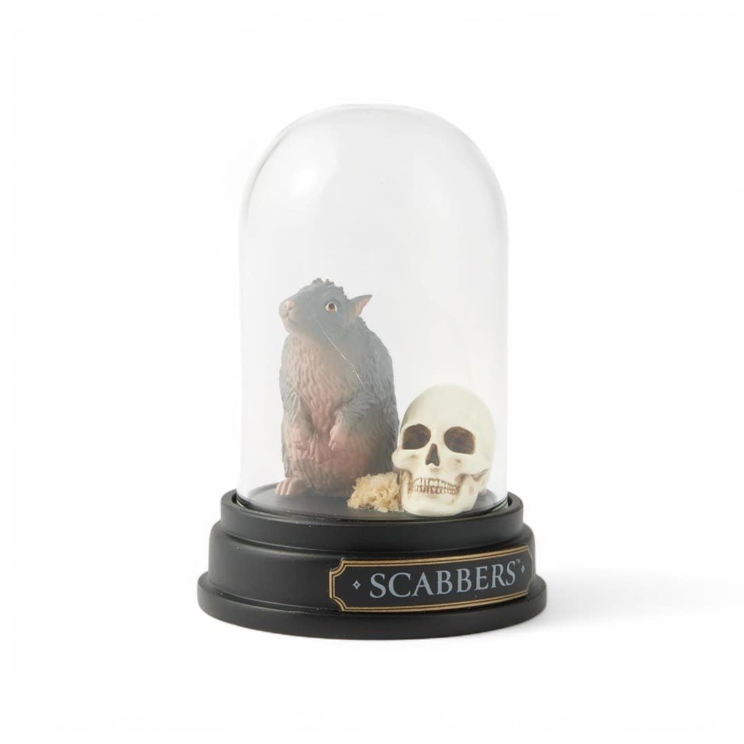 Scabbers Curiosity Cloche - Fans Geek Store