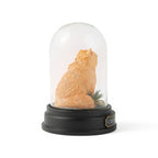 Crookshanks Curiosity Cloche - Fans Geek Store