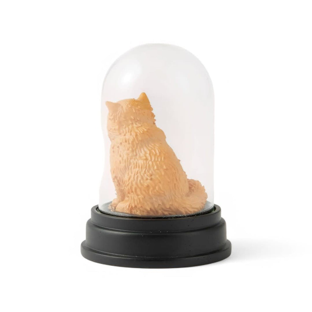 Crookshanks Curiosity Cloche - Fans Geek Store