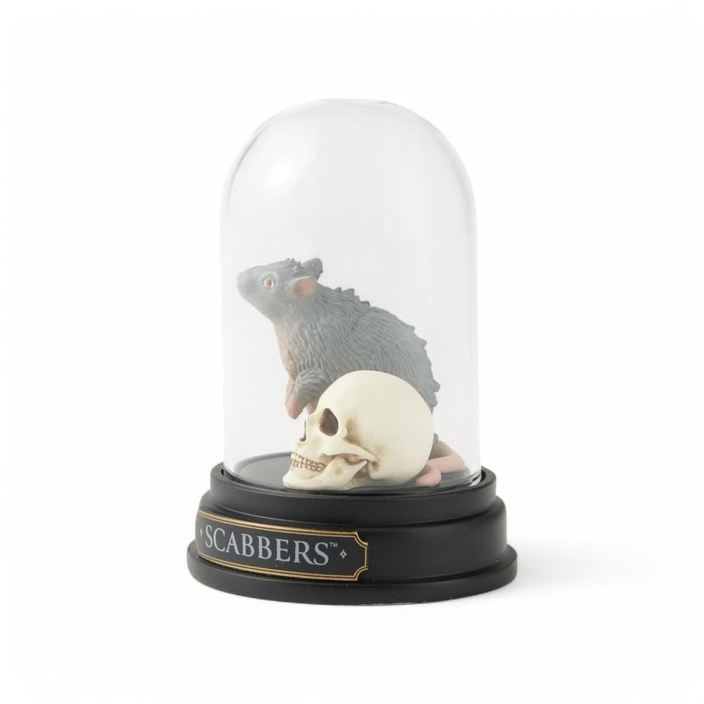 Scabbers Curiosity Cloche - Fans Geek Store