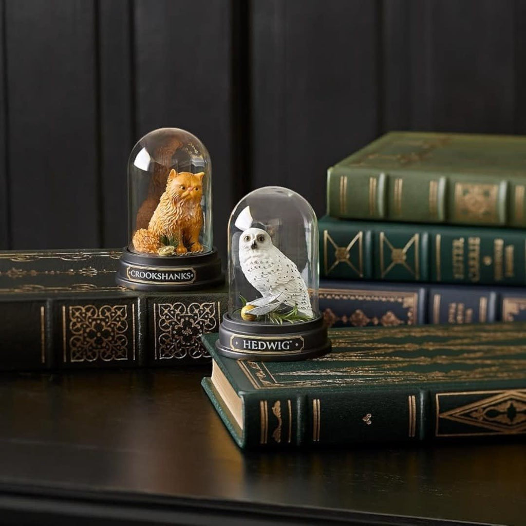 Crookshanks Curiosity Cloche - Fans Geek Store