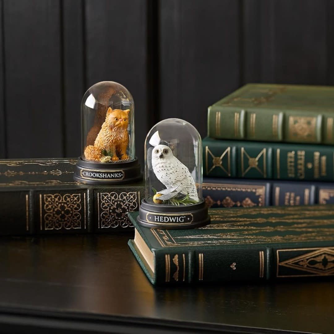 Crookshanks Curiosity Cloche - Fans Geek Store