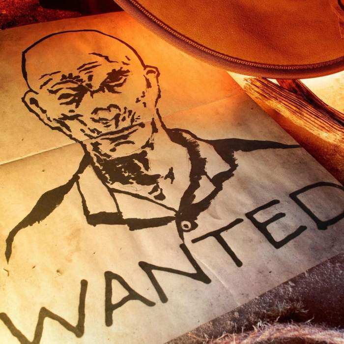 Doctor Collector Fallout – Wasteland Treasures Gift Box | 17-delige Verzamelset