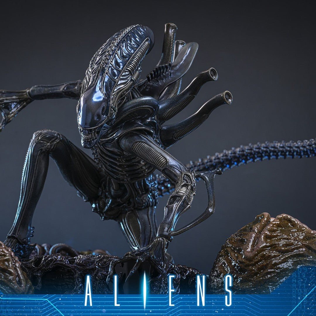 Alien Warrior Deluxe Version 1/6 Scale Figure 38,5 cm - Fans Geek Storeproduct_typeHot Toys