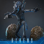 Alien Warrior Deluxe Version 1/6 Scale Figure 38,5 cm - Fans Geek Storeproduct_typeHot Toys
