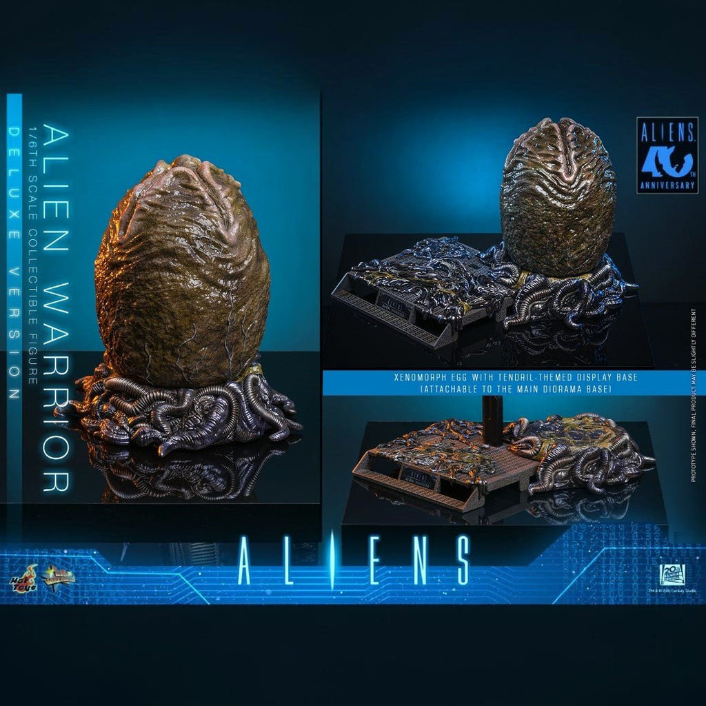 Alien Warrior Deluxe Version 1/6 Scale Figure 38,5 cm - Fans Geek Storeproduct_typeHot Toys