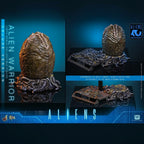 Alien Warrior Deluxe Version 1/6 Scale Figure 38,5 cm - Fans Geek Storeproduct_typeHot Toys