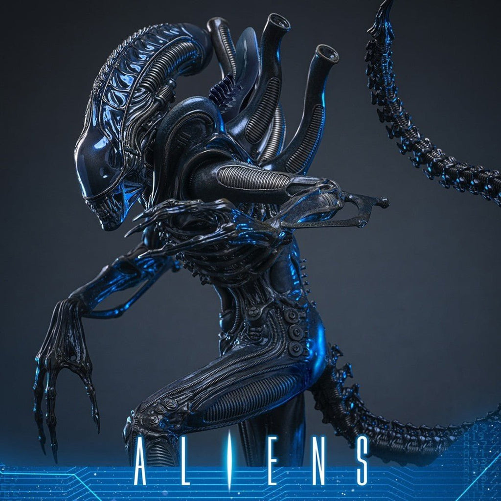 Alien Warrior Deluxe Version 1/6 Scale Figure 38,5 cm - Fans Geek Storeproduct_typeHot Toys