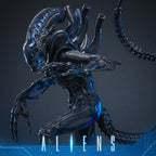 Alien Warrior Deluxe Version 1/6 Scale Figure 38,5 cm - Fans Geek Storeproduct_typeHot Toys