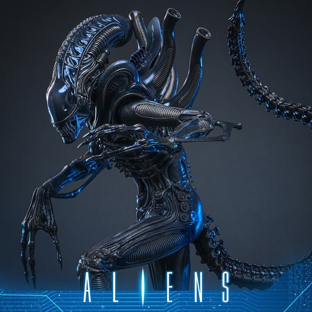 Alien Warrior Deluxe Version 1/6 Scale Figure 38,5 cm - Fans Geek Storeproduct_typeHot Toys