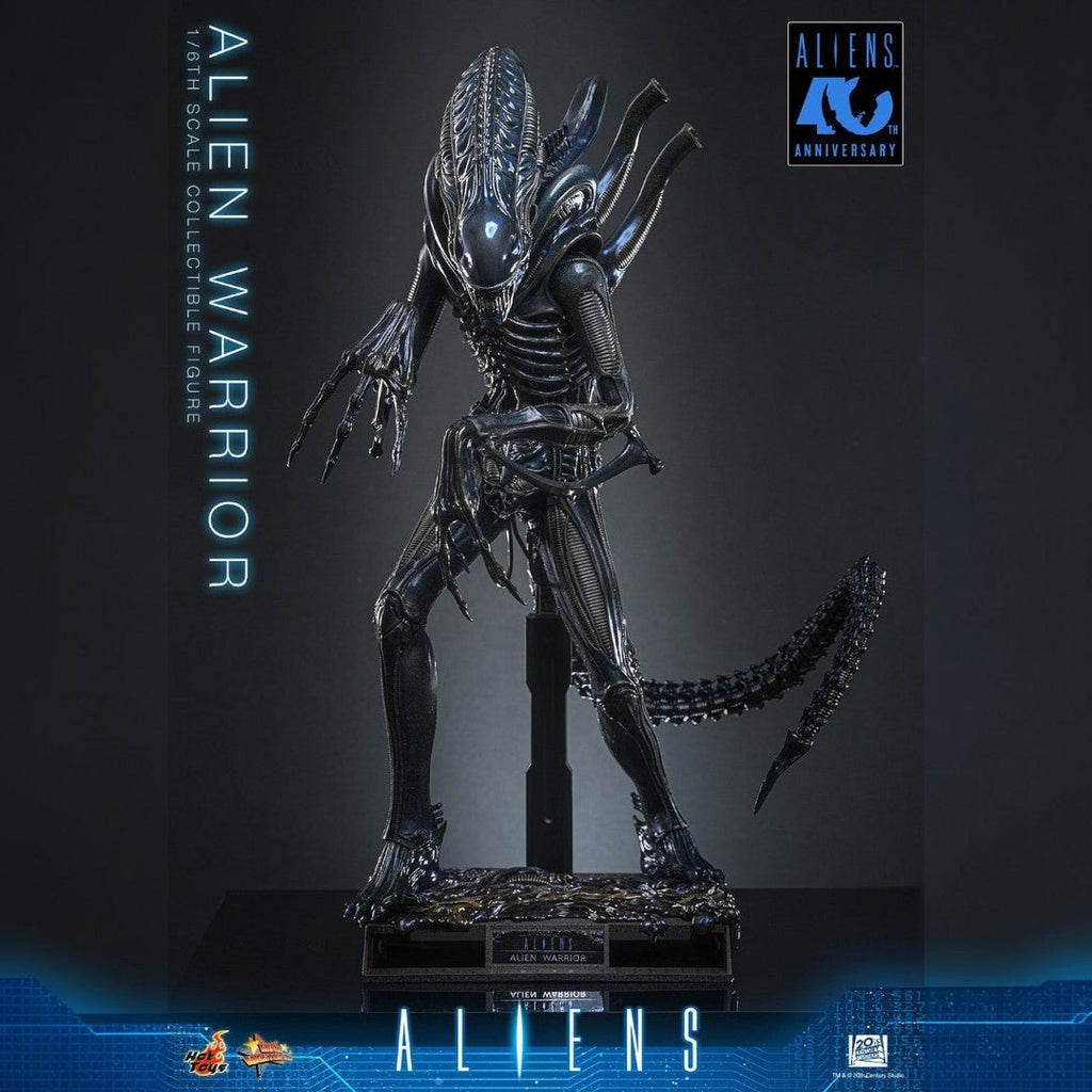 Alien Warrior Sixth Scale Actiefiguur Collector Edition 38,5 cm - Fans Geek Storeproduct_typeHot Toys