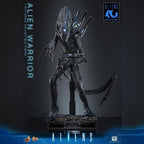 Alien Warrior Sixth Scale Actiefiguur Collector Edition 38,5 cm - Fans Geek Storeproduct_typeHot Toys