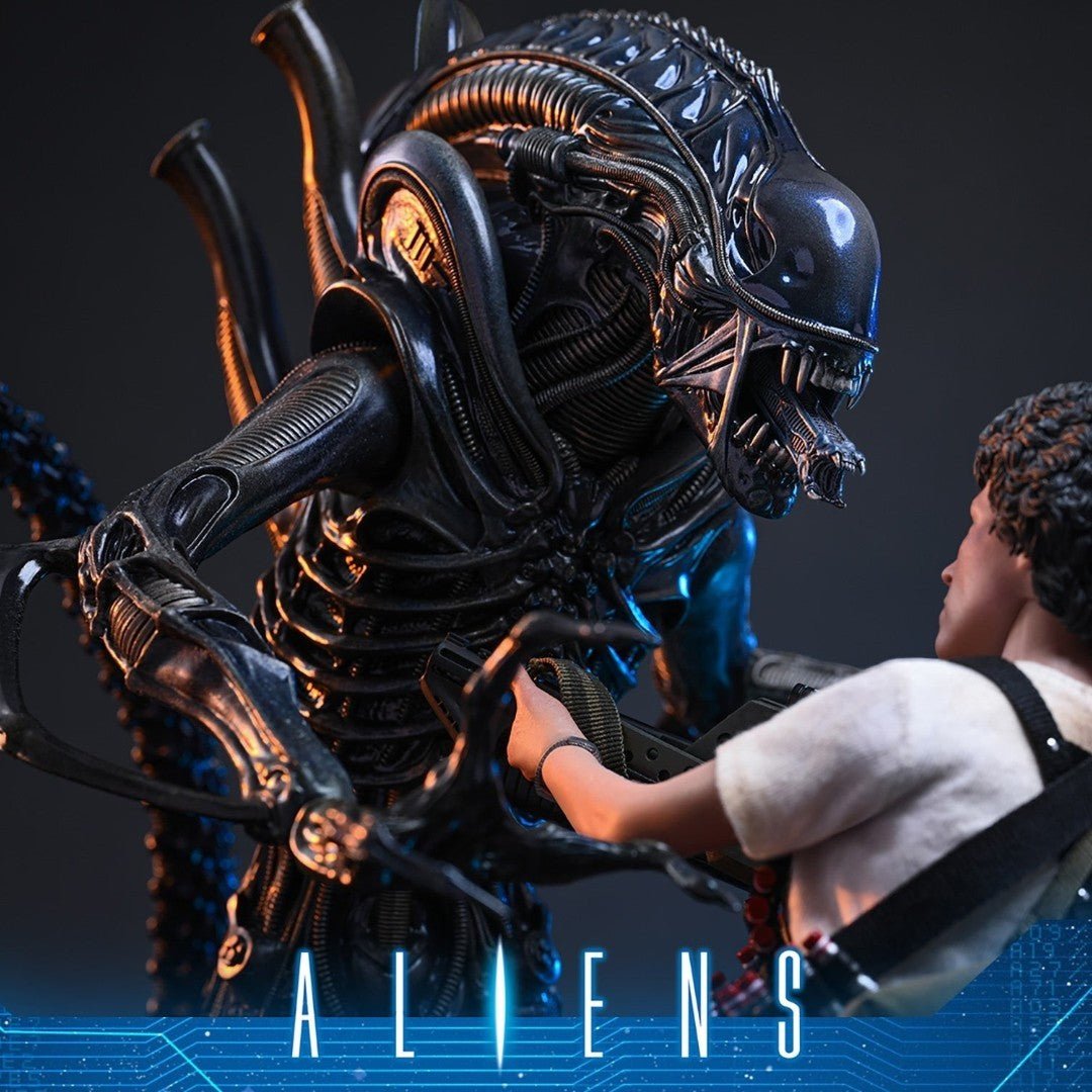Alien Warrior Sixth Scale Actiefiguur Collector Edition 38,5 cm - Fans Geek Storeproduct_typeHot Toys