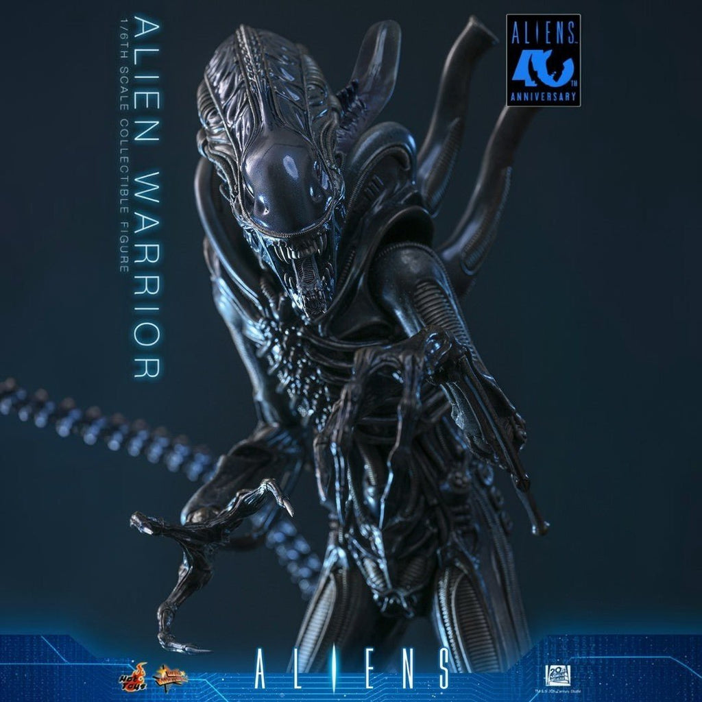 Alien Warrior Sixth Scale Actiefiguur Collector Edition 38,5 cm - Fans Geek Storeproduct_typeHot Toys
