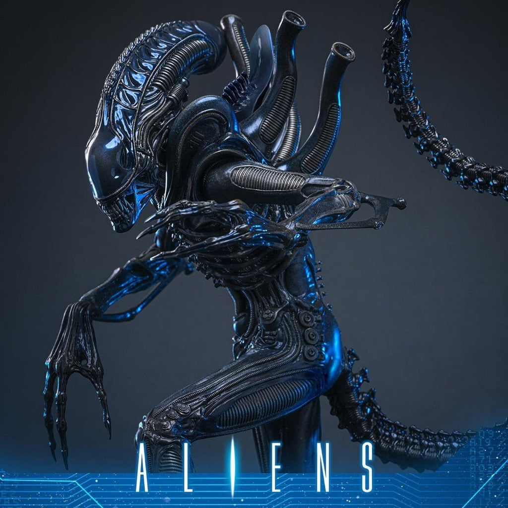 Alien Warrior Sixth Scale Actiefiguur Collector Edition 38,5 cm - Fans Geek Storeproduct_typeHot Toys