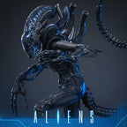 Alien Warrior Sixth Scale Actiefiguur Collector Edition 38,5 cm - Fans Geek Storeproduct_typeHot Toys