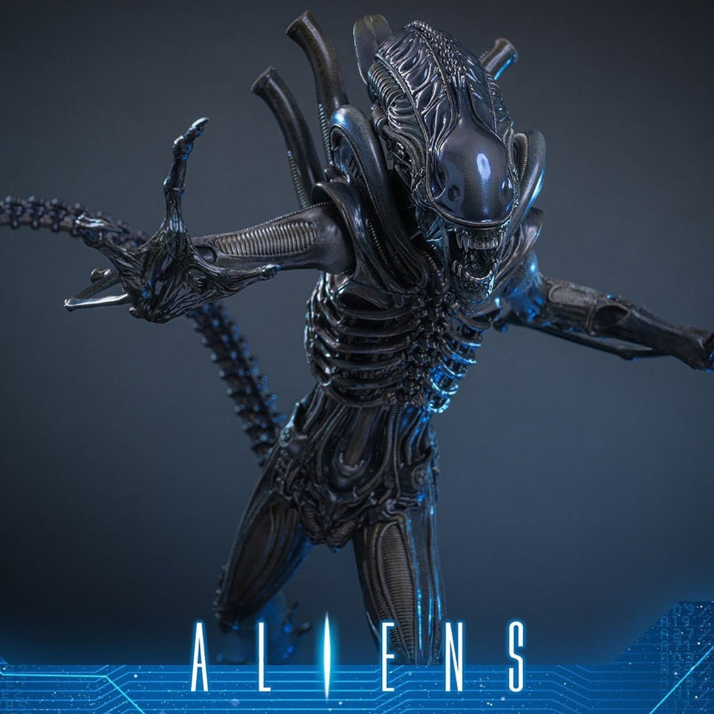 Alien Warrior Sixth Scale Actiefiguur Collector Edition 38,5 cm - Fans Geek Storeproduct_typeHot Toys