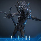 Alien Warrior Sixth Scale Actiefiguur Collector Edition 38,5 cm - Fans Geek Storeproduct_typeHot Toys