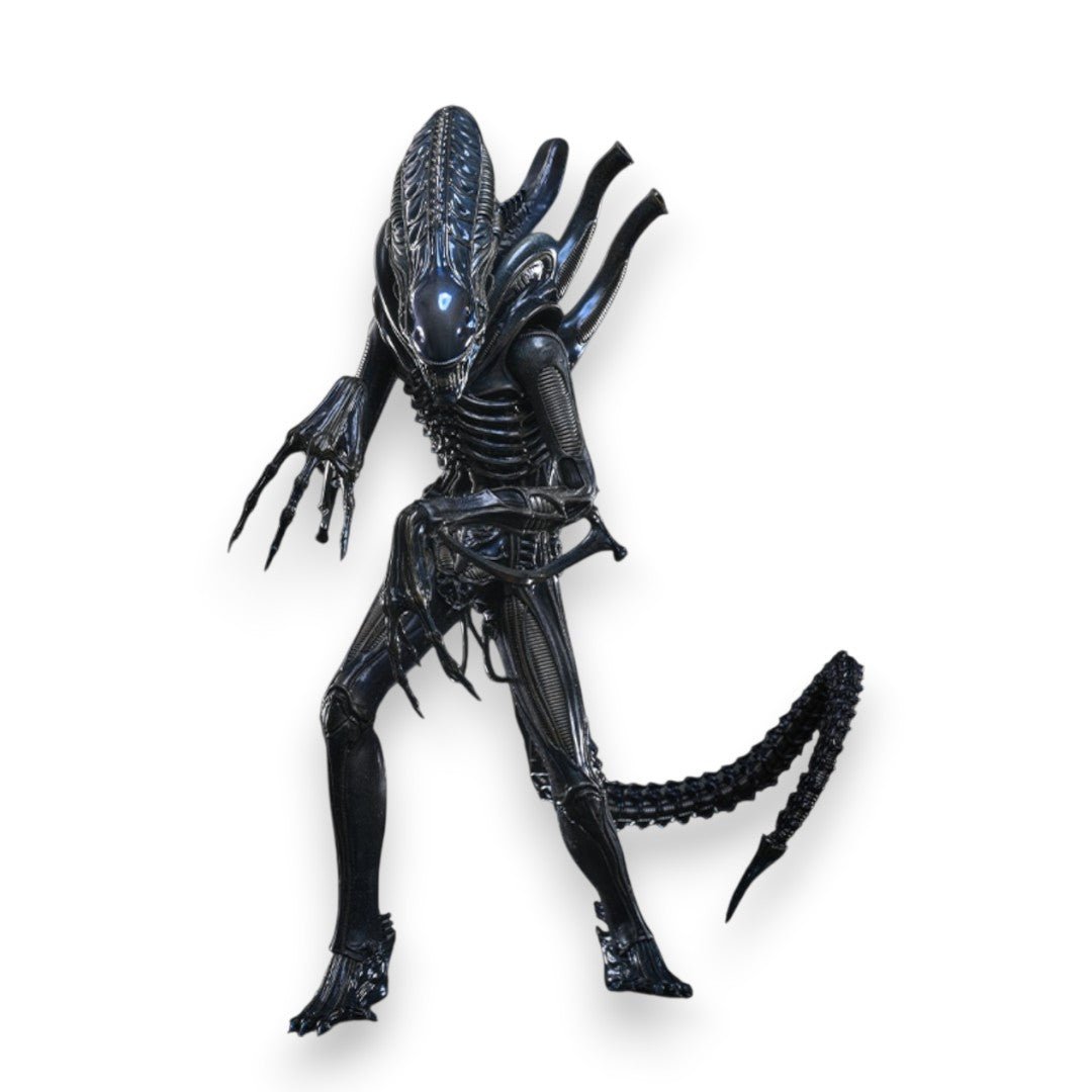 Alien Warrior Sixth Scale Actiefiguur Collector Edition 38,5 cm - Fans Geek Storeproduct_typeHot Toys