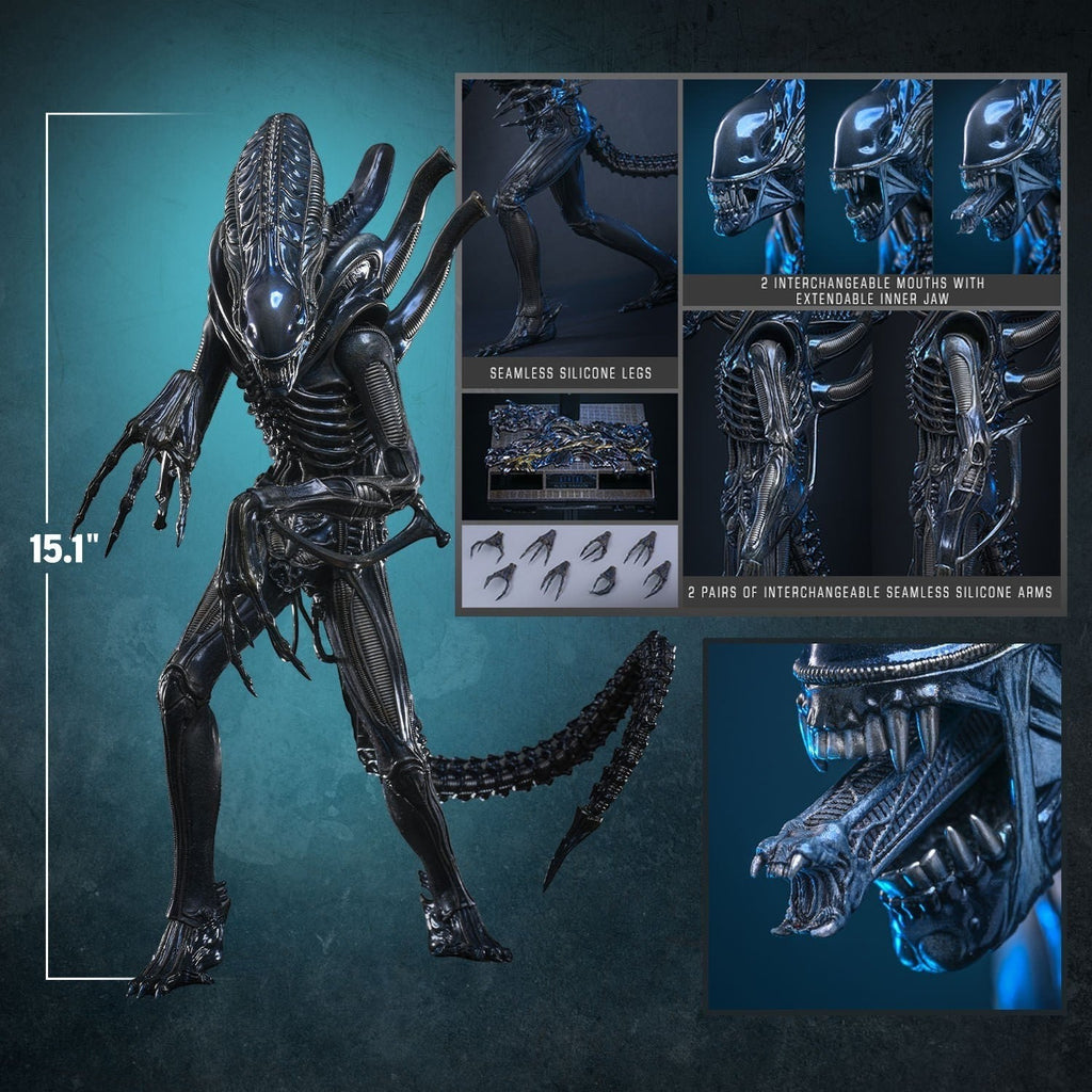 Alien Warrior Sixth Scale Actiefiguur Collector Edition 38,5 cm - Fans Geek Storeproduct_typeHot Toys
