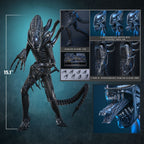 Alien Warrior Sixth Scale Actiefiguur Collector Edition 38,5 cm - Fans Geek Storeproduct_typeHot Toys