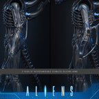 Alien Warrior Sixth Scale Actiefiguur Collector Edition 38,5 cm - Fans Geek Storeproduct_typeHot Toys