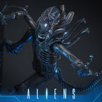 Alien Warrior Sixth Scale Actiefiguur Collector Edition 38,5 cm - Fans Geek Storeproduct_typeHot Toys