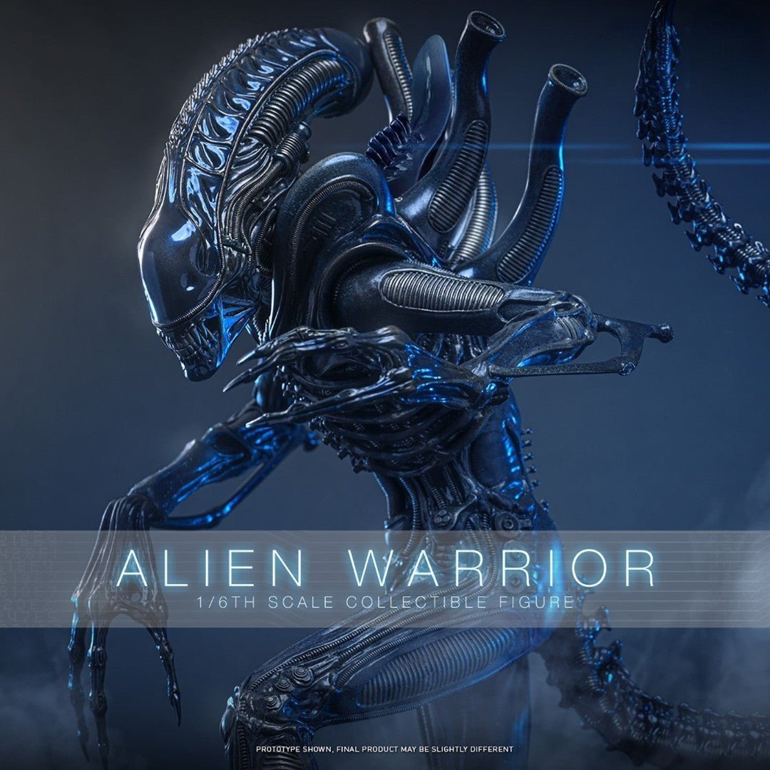 Alien Warrior Sixth Scale Actiefiguur Collector Edition 38,5 cm - Fans Geek Storeproduct_typeHot Toys
