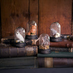 Scabbers Curiosity Cloche - Fans Geek Store