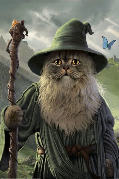 Lord of The Rings: Catdalf - Maxi Poster - Fans Geek Store