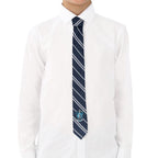 Harry Potter: Ravenclaw Woven Kids Necktie - Fans Geek Store