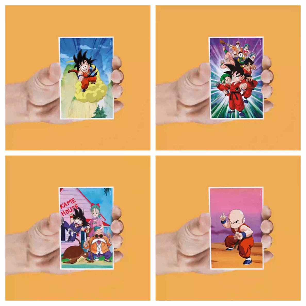 Dragon Ball: Lenticular Magnet Set - Fans Geek Store