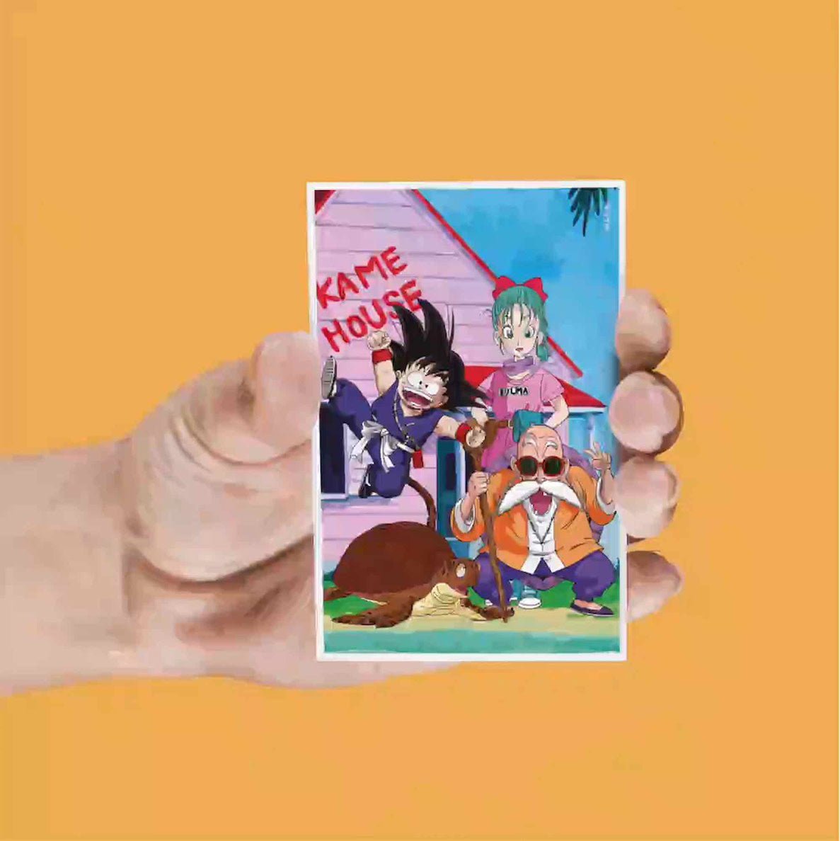 Dragon Ball: Lenticular Magnet Set - Fans Geek Store