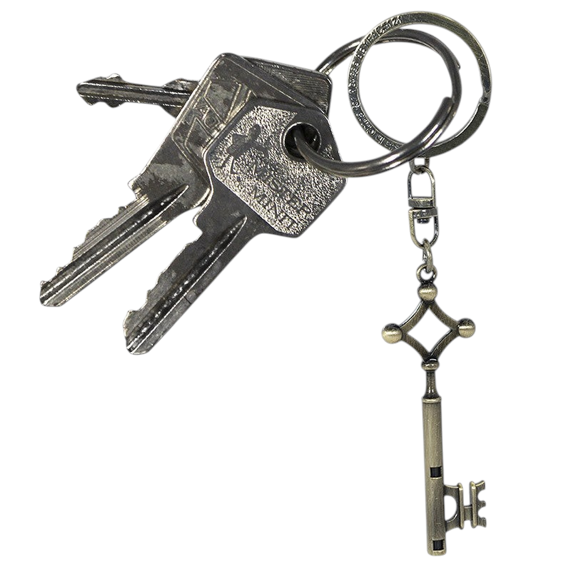 Fans Geek Store Attack on Titan Eren metal key 3D keychain attached to a keyring with other keys