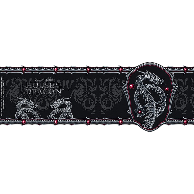 Fans Geek Store House of the Dragon ceramic mug featuring a detailed silver dragon emblem and Targaryen-inspired motifs