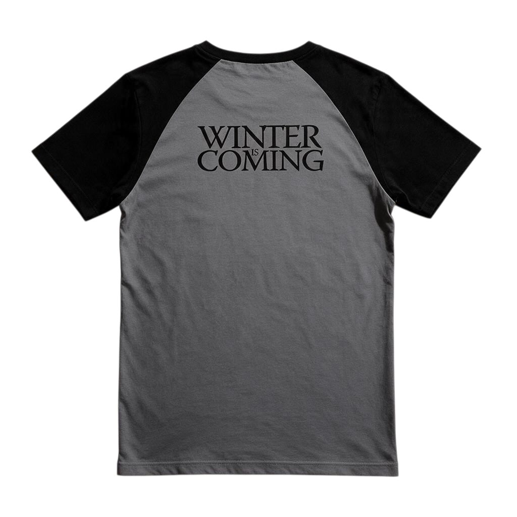 Fans Geek Store Game of Thrones House Stark raglan t-shirt in grey and black with Winter Is Coming back print