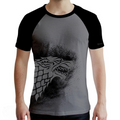 Fans Geek Store Game of Thrones House Stark slim fit raglan t-shirt with grey body and black sleeves