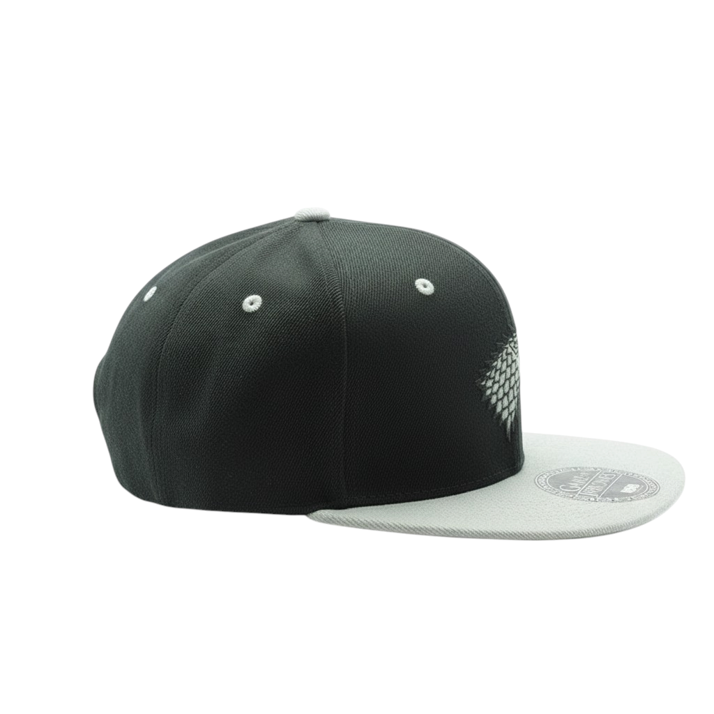 Fans Geek Store Game of Thrones House Stark snapback cap in black and grey with embroidered direwolf emblem