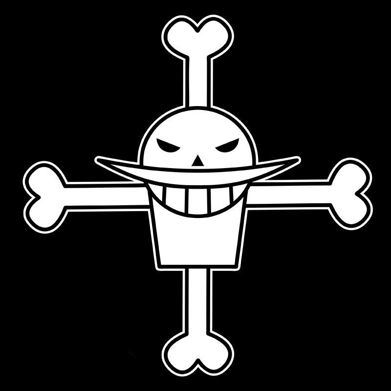 Fans Geek Store black unisex cotton t-shirt featuring the iconic white Portgas D. Ace skull and crossbones logo