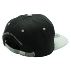 Fans Geek Store Game of Thrones House Stark snapback cap in black and grey with Winter Is Coming embroidery