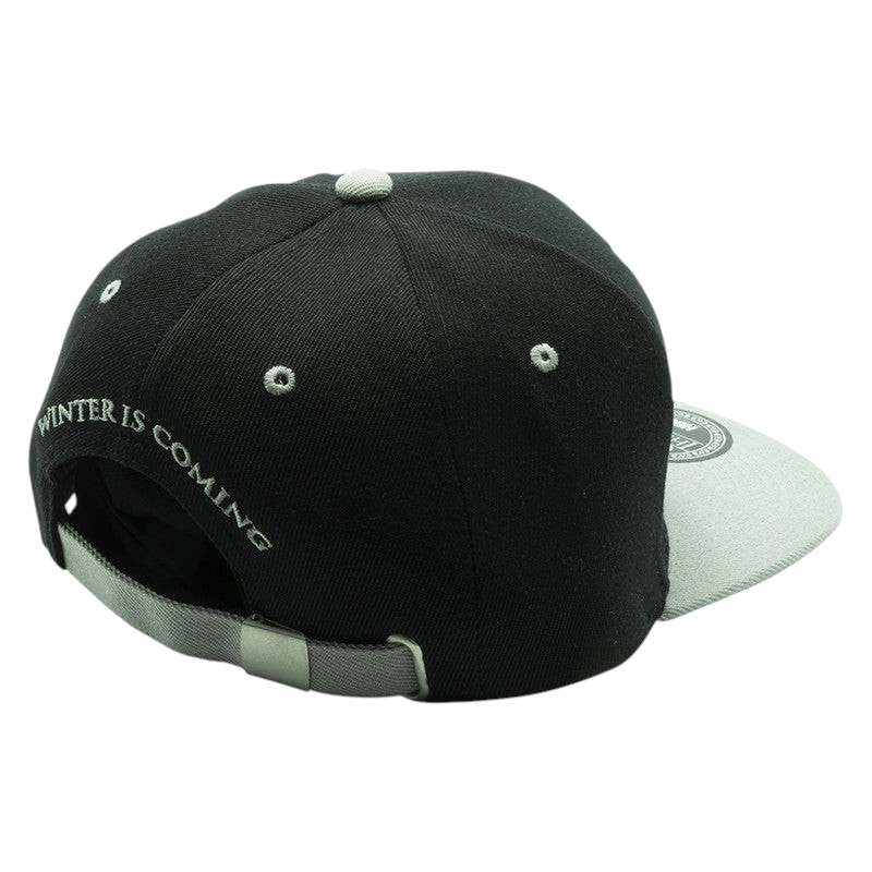 Fans Geek Store Game of Thrones House Stark snapback cap in black and grey with Winter Is Coming embroidery