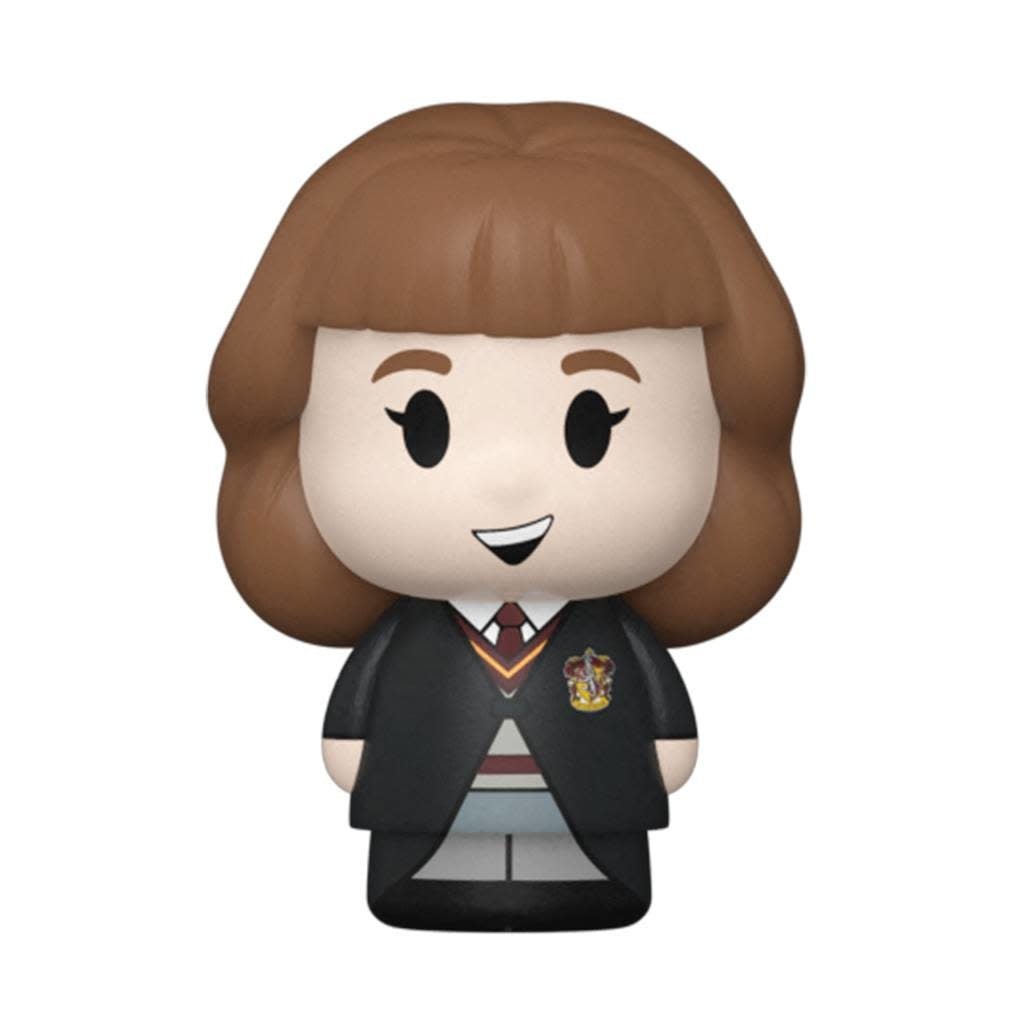 Harry Potter: Mini Moments - Harry Potter Anniversary - Hermione - Fans Geek Store